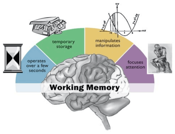 working-memory-2-1